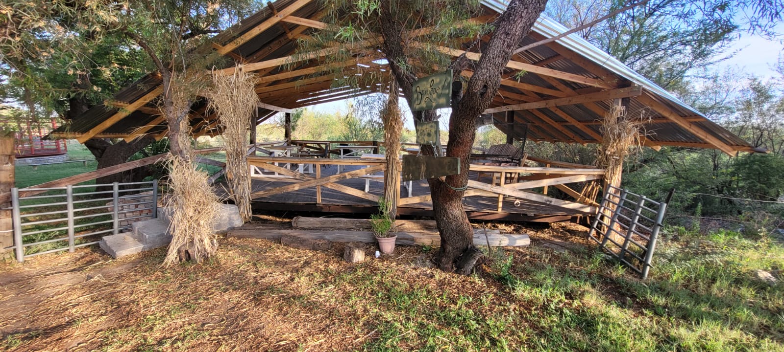 WhatsApp Image 2025-01-11 at 06.34.03_af651bed